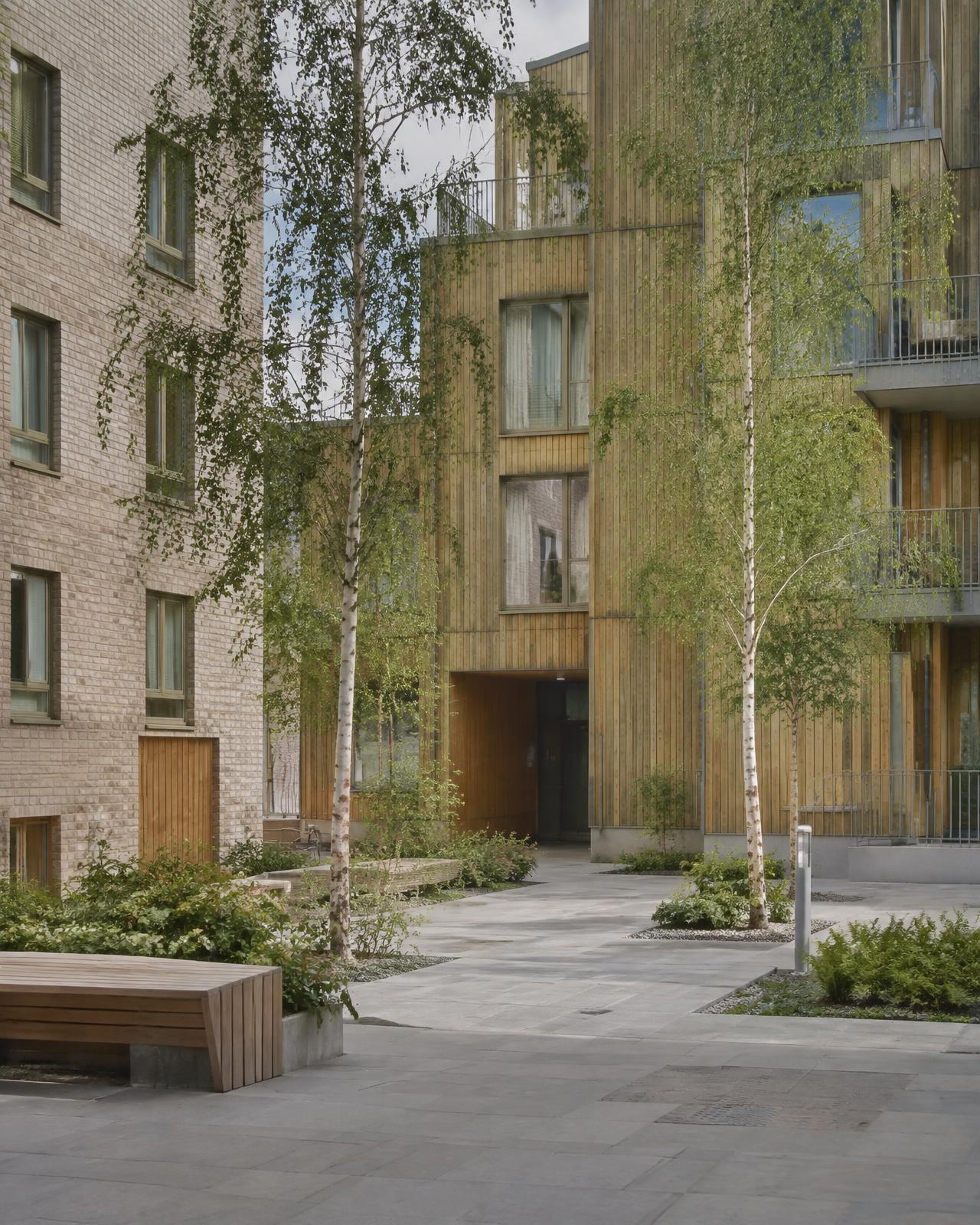 A quiet Scandinavian residential courtyard with birch trees and timber facades